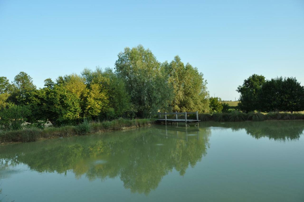 La Ferme D'Aristide Bed & Breakfast Saillenard ภายนอก รูปภาพ